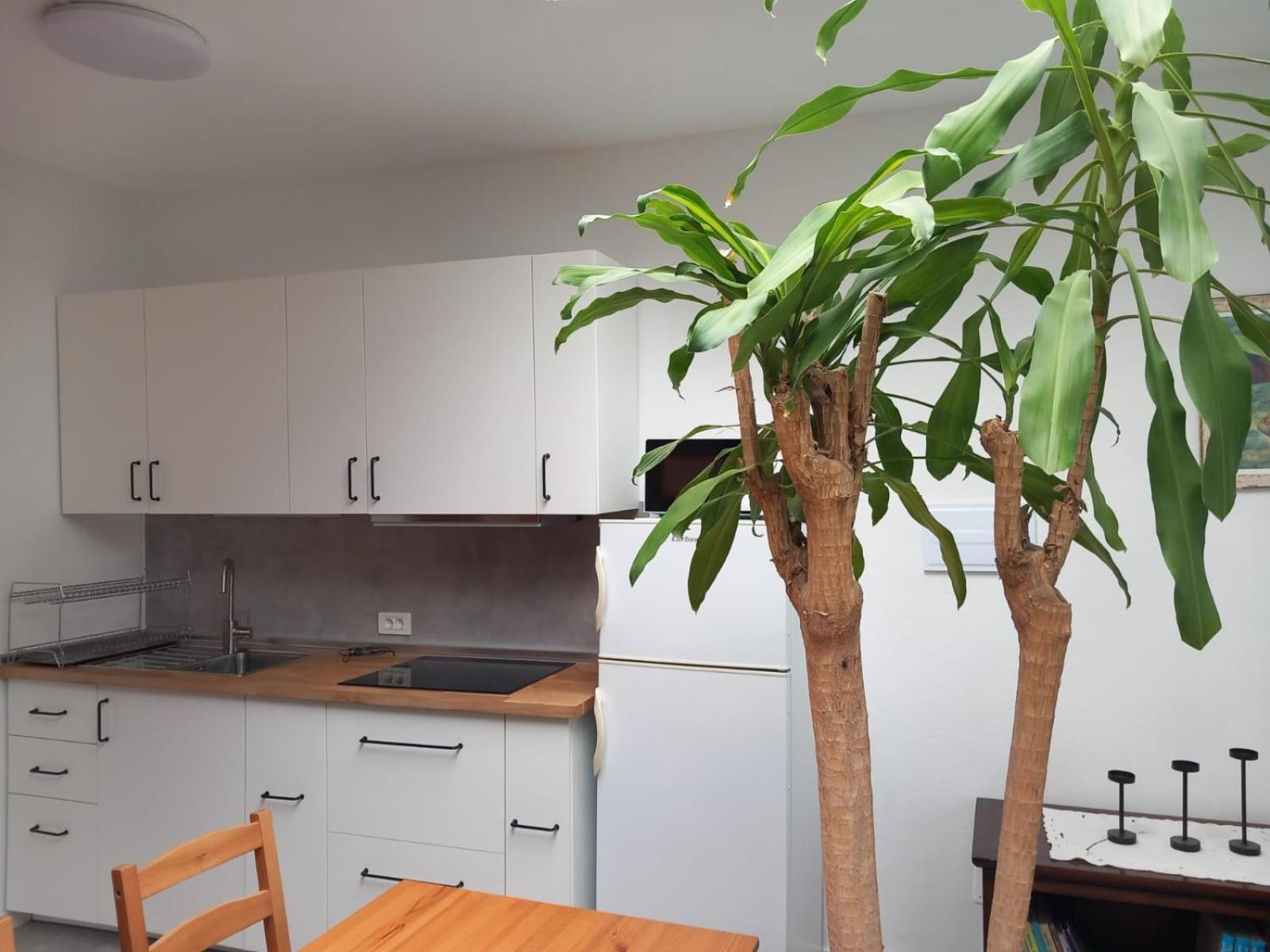 Vivienda Vacacional Casa Rosi Jerez de la Jerez de la Frontera Zewnętrze zdjęcie